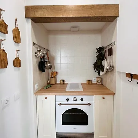 Apartment The Bird House Nazaré